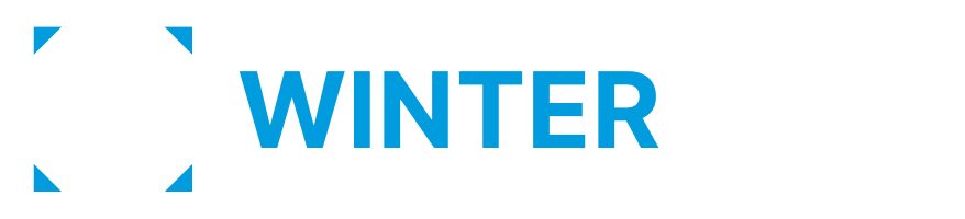 WinterNode Logo + Wordmark