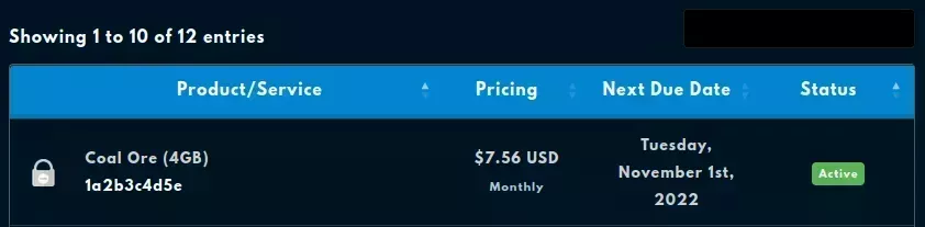 A Service in the Client Area Services list